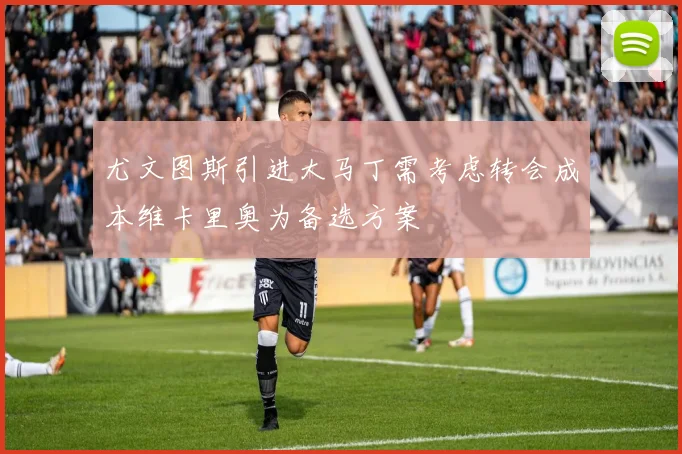 尤文图斯引进大马丁需考虑转会成本维卡里奥为备选方案